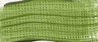 Renesans farba akrylowa Akryl 100ml - Zieleń chromowa 17